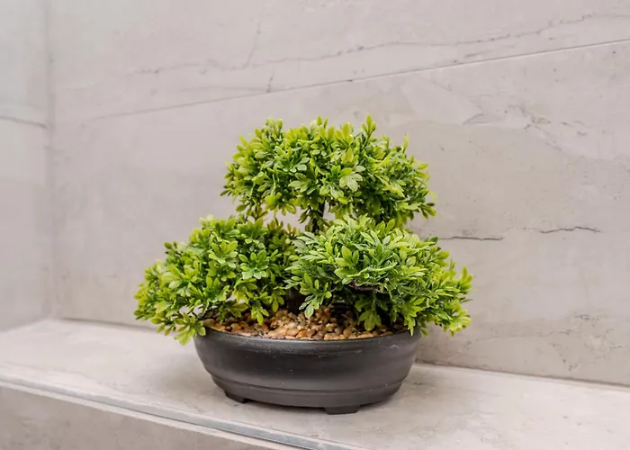 Kolovare Luxury 扎达尔